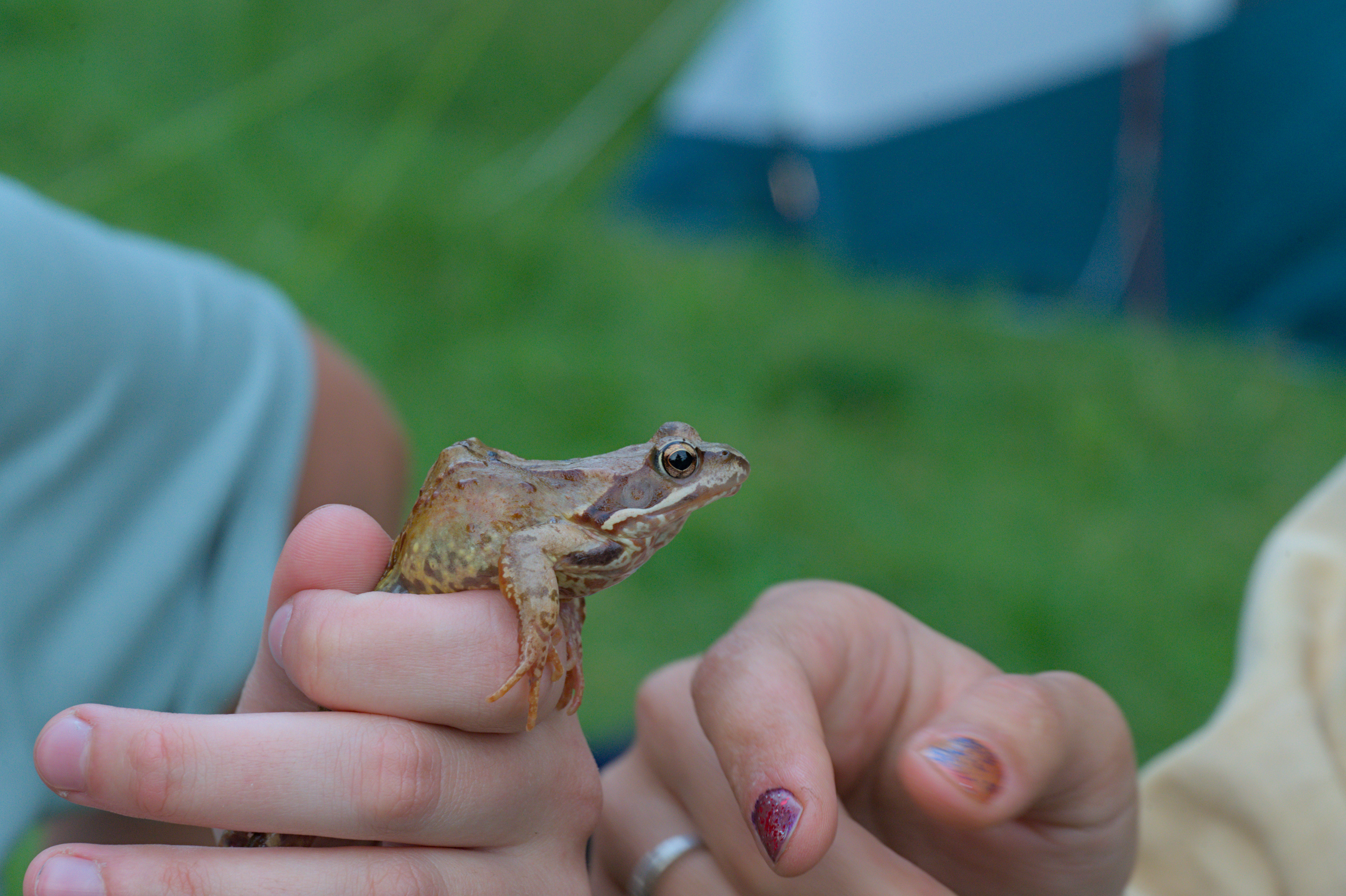 2025/07/09-14 - trip/export/DSC_0059.jpg